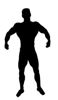 bodybuilding clipart