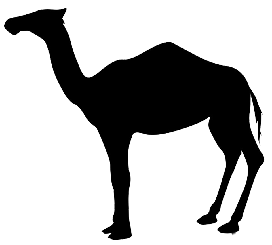 dromedary silhouette