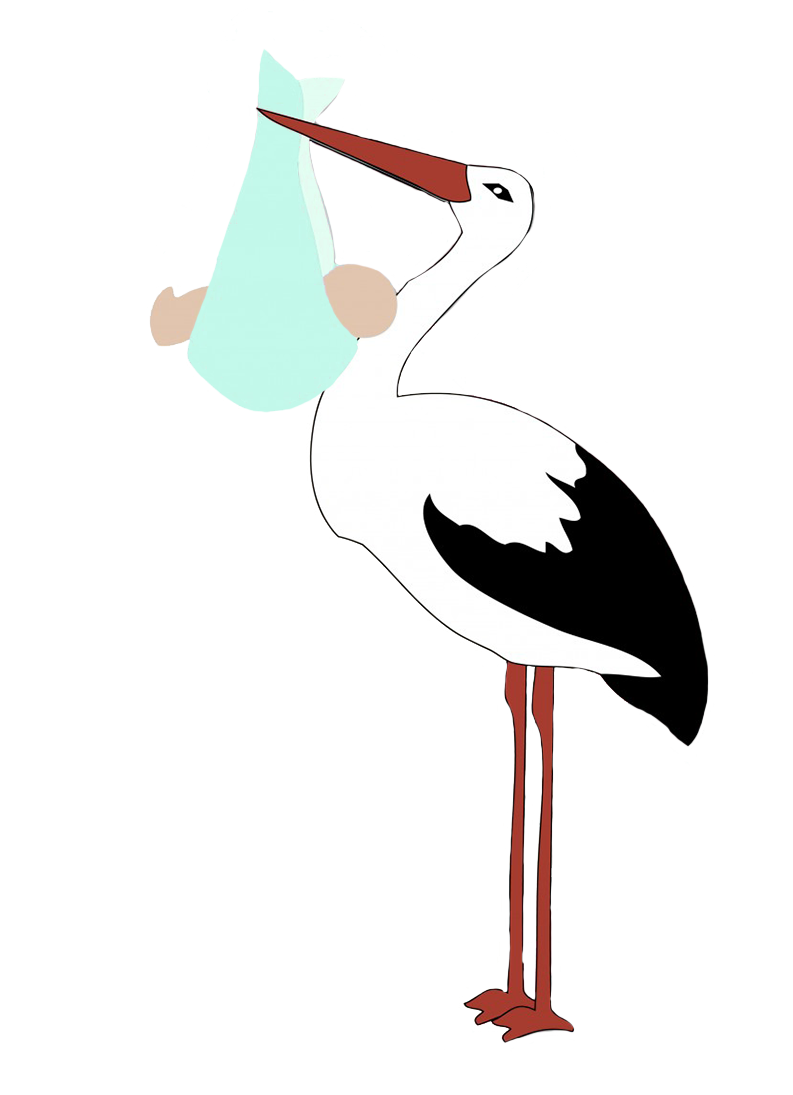 stork with baby boy