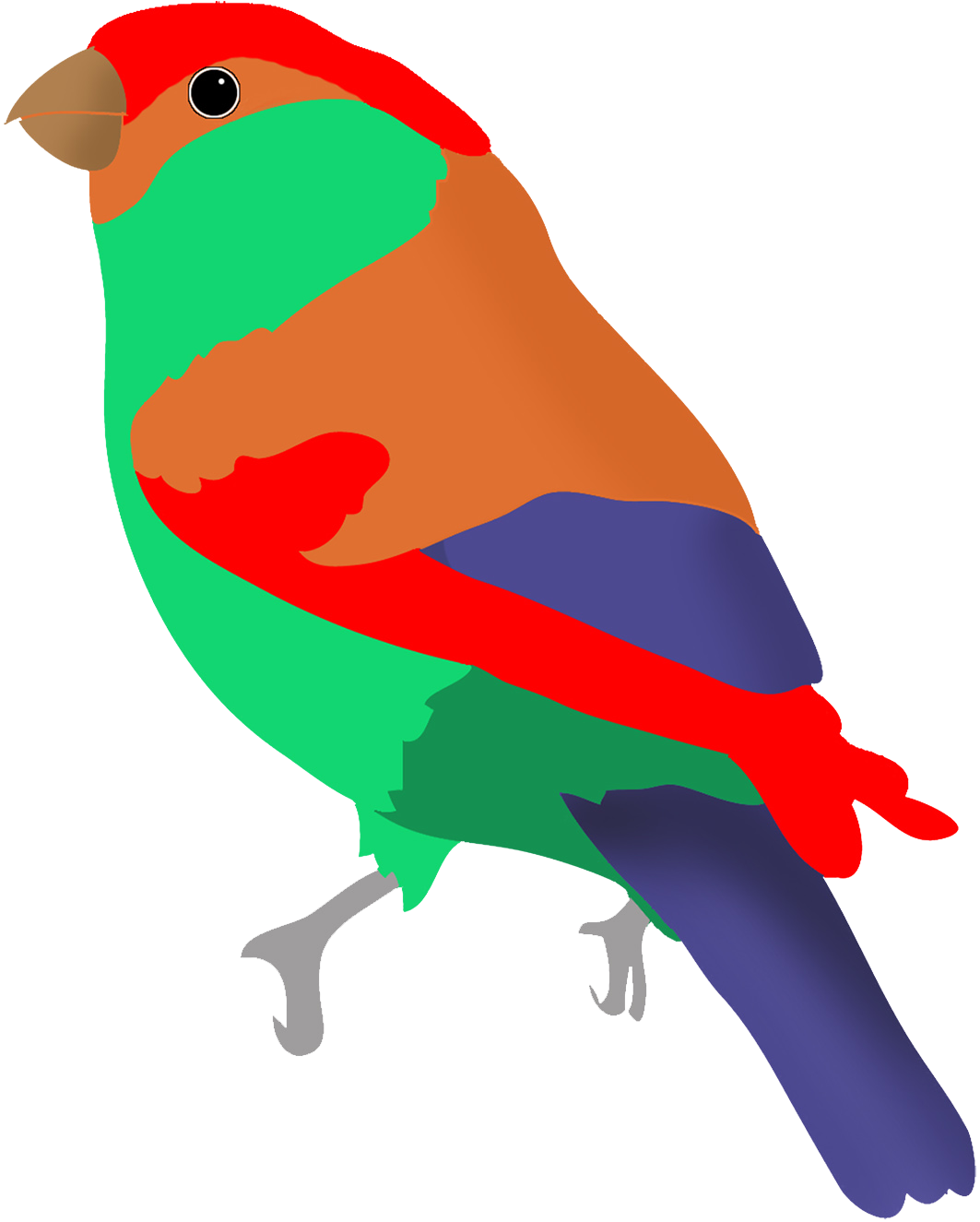 colorful bird in fantasy colors