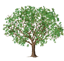 tree clipart link