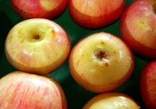 bobbing apples at Halloween