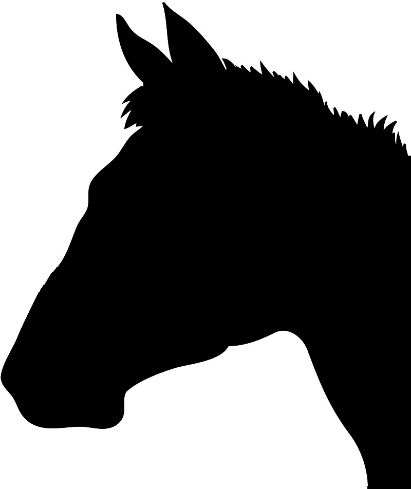 head of racing horse silhouette