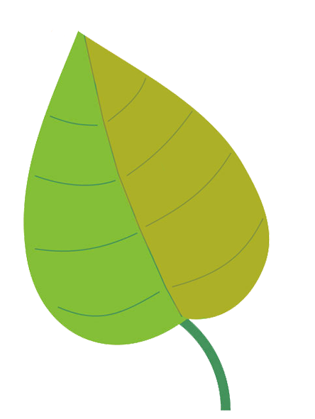 autumn leaf green
