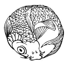 old Japanese koi fish sketch