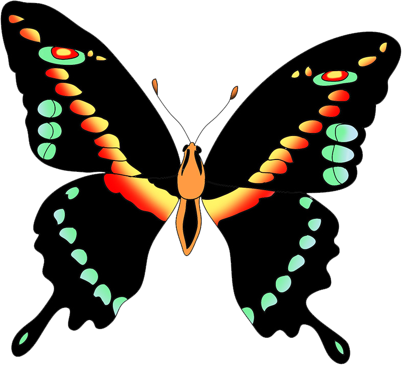 black swallow tail butterfly clipart
