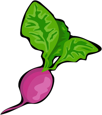 radish clipart