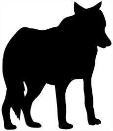 black silhouette of standing wolf