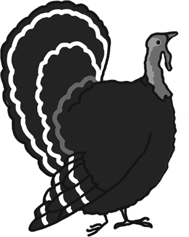 Thanksgiving turkey drawing