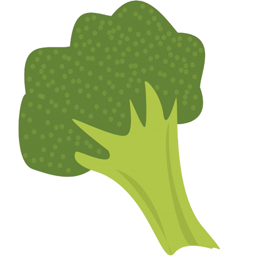 broccoli drawing 