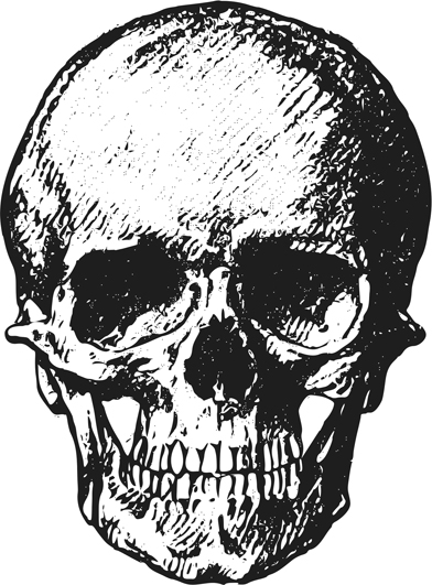 frontal skull drawing