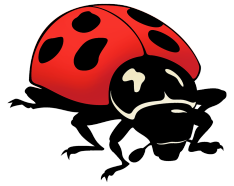 ladybug drawing png