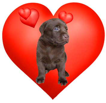 Valentines Day Hearts, Valentine Graphics