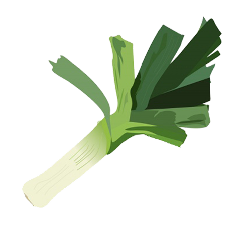 leek clipart