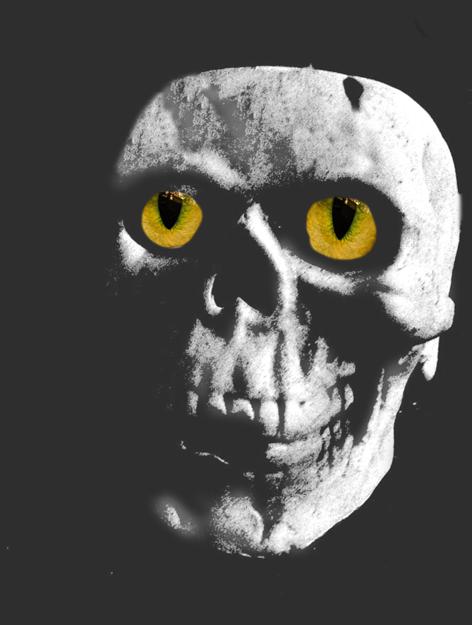 dark skull with yellow eyes