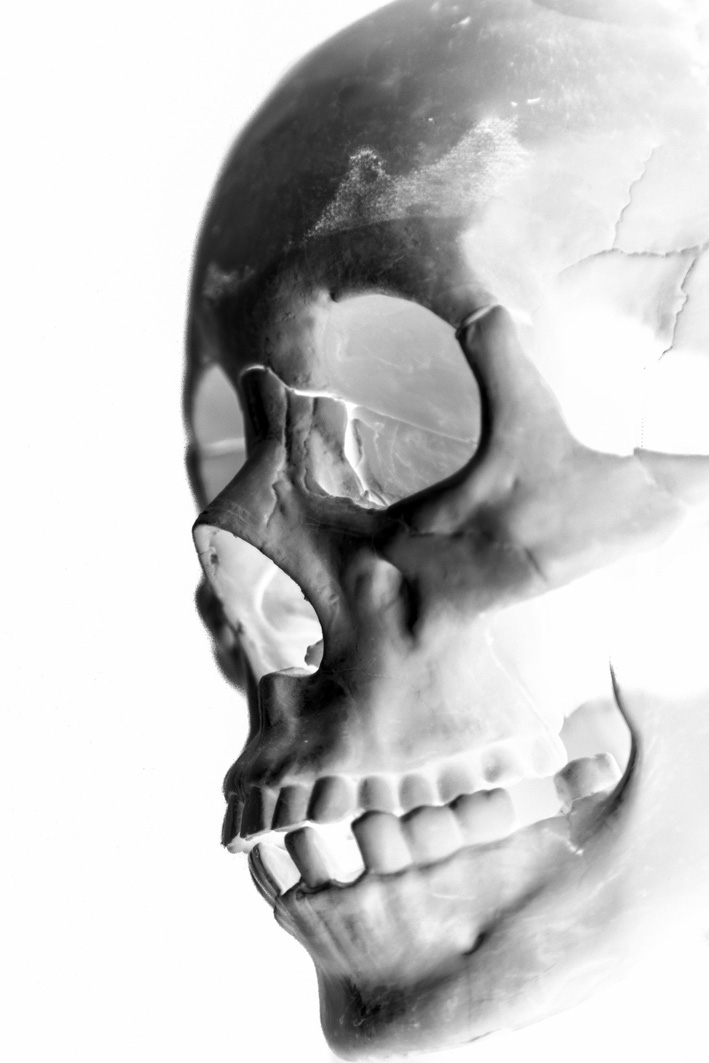 skull images sideways