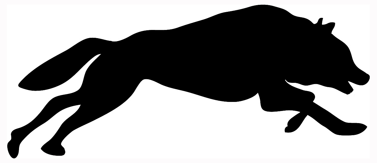 wolf silhouette hunting wolf