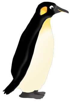 penguin clipart emperor penguin