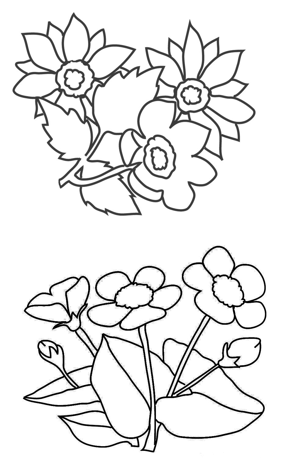 coloring page with buttercups