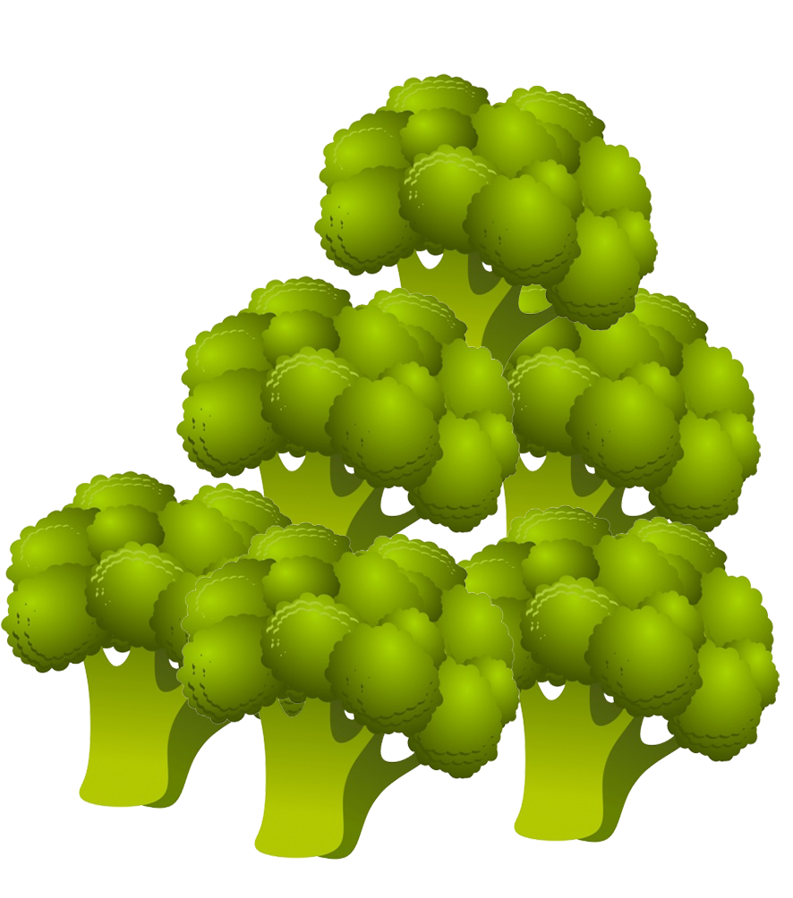 broccoli clipart