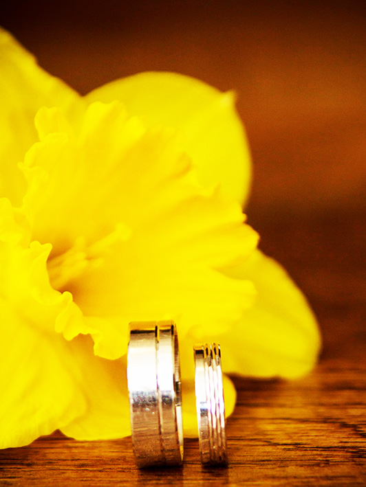 wedding rings and daffodil