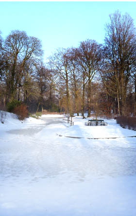 Winter photography snow scene