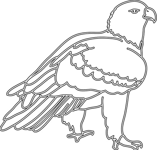 bird silhouette of eagle drawing