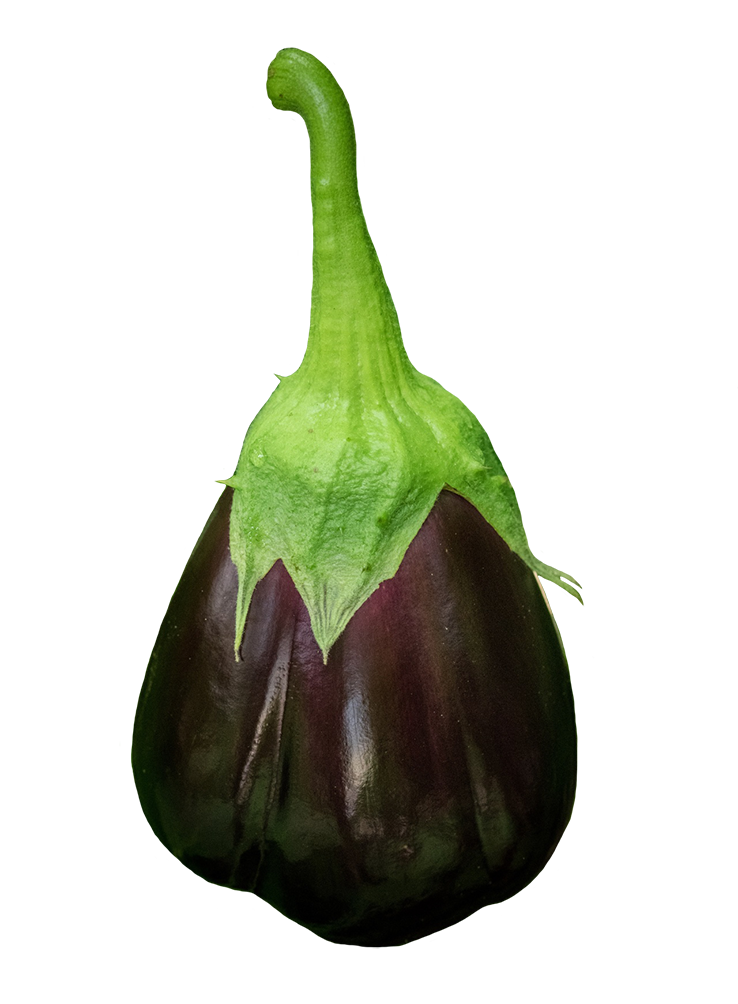 Eggplant with stem 