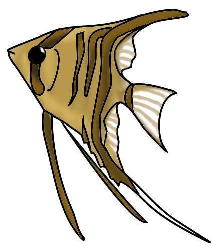 Scalare fish