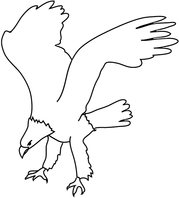 Eagle going for prey