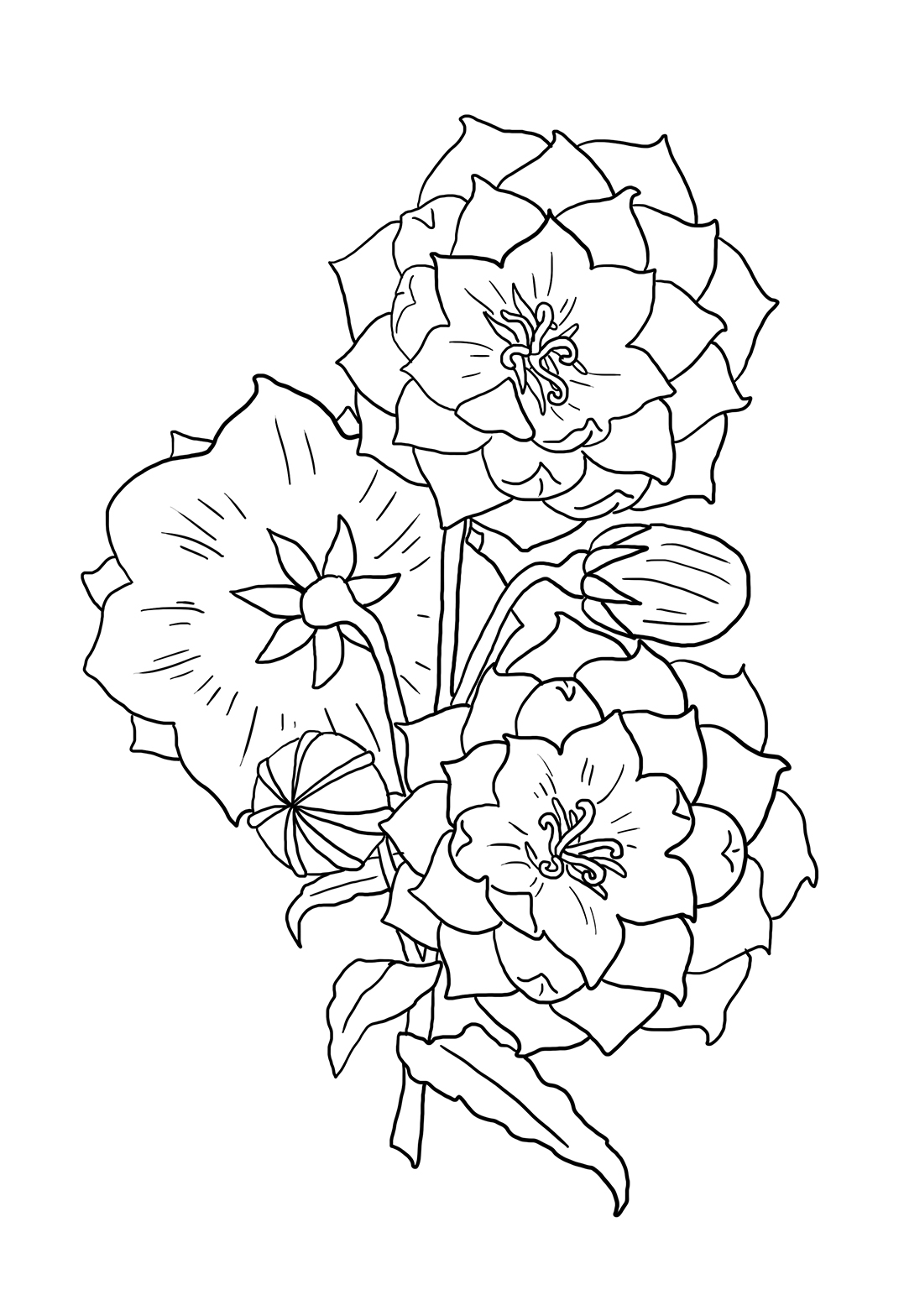 Flower Coloring Pages