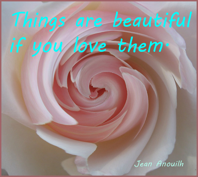 picture quote pink rose love saying