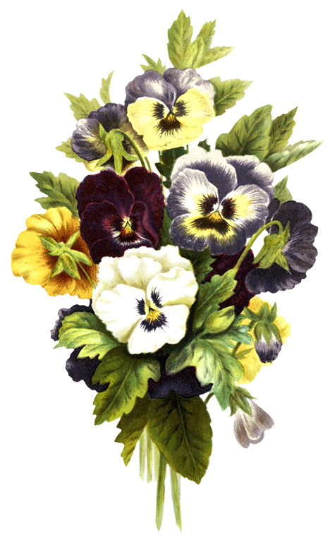Free Flower Clipart