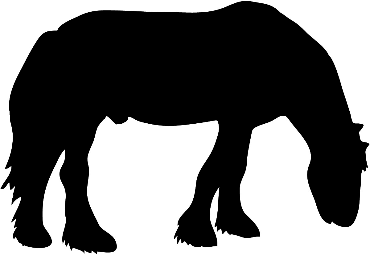 Grazing horse silhouette