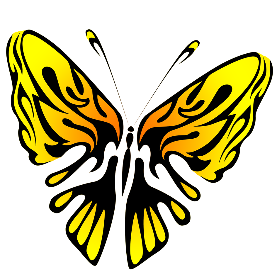 black and yellow butterfly image PNG