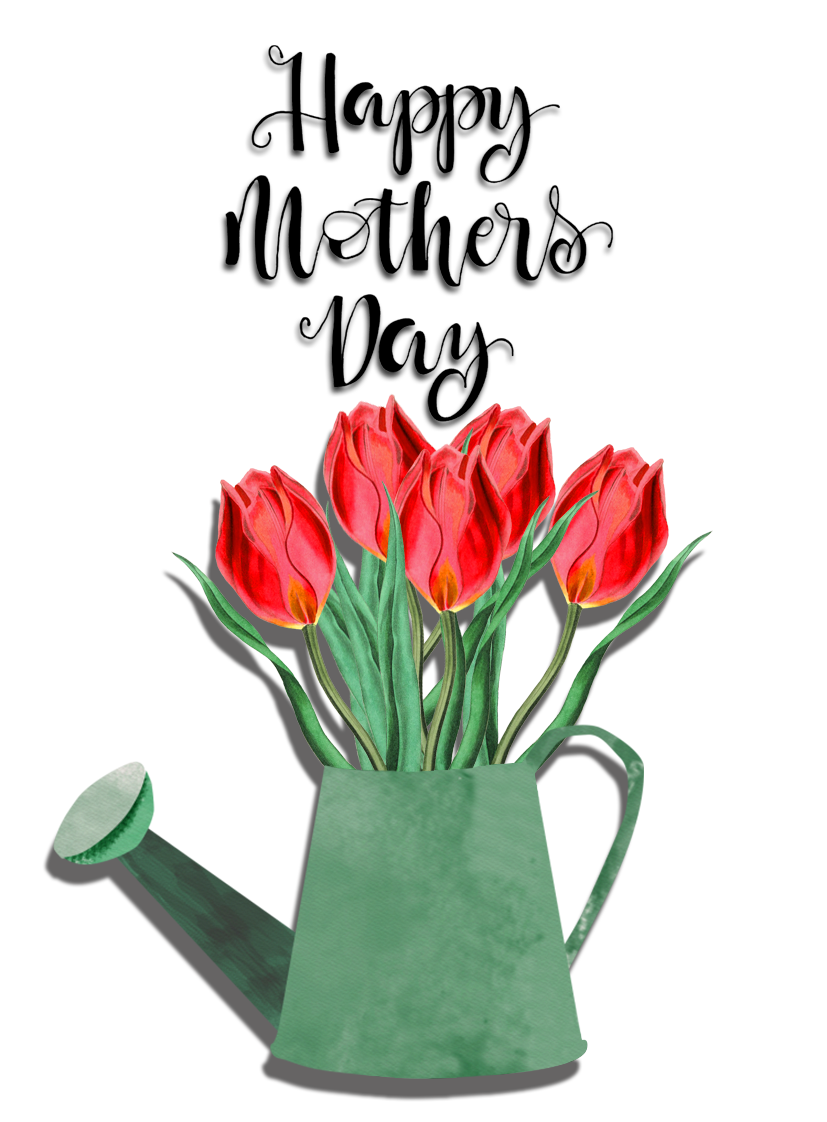 Happy Mother's Day tulips in watering can