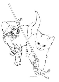 two kittens playing coloring sheet