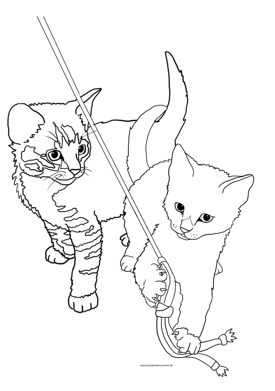 two kittens playing coloring sheet