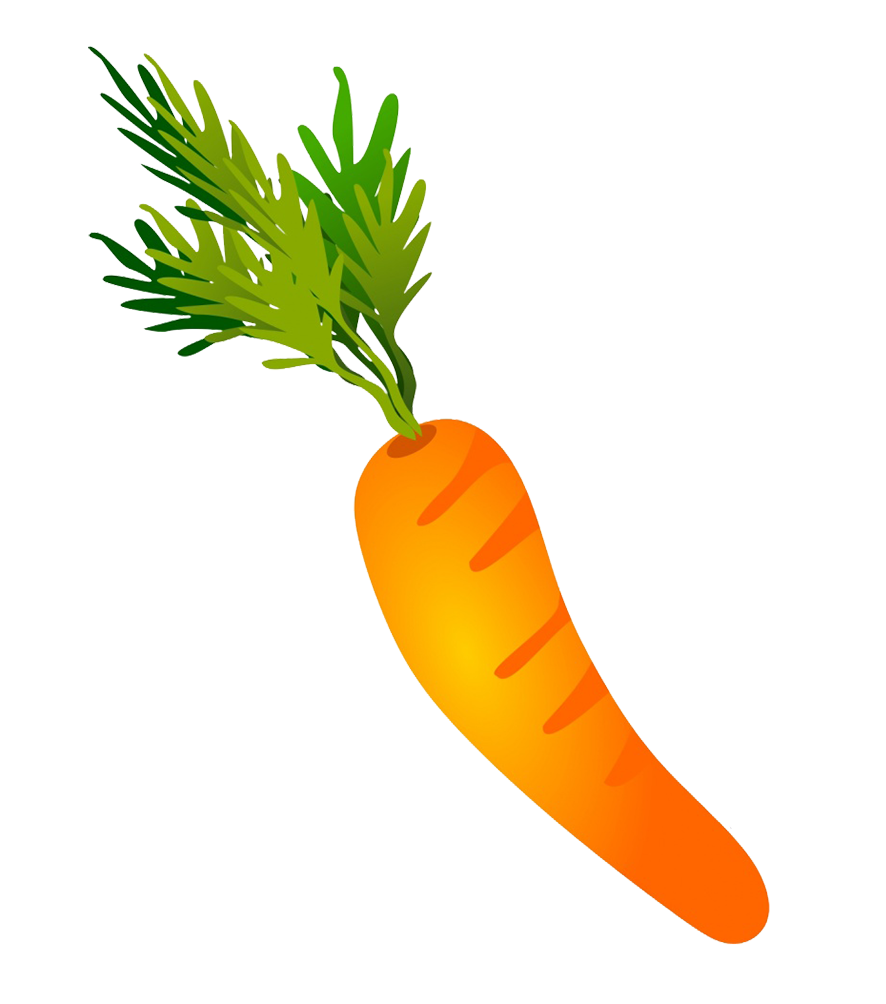 carrot drawing
