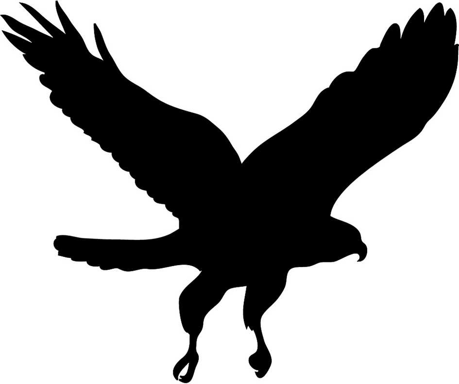 Hunting hawk silhouette