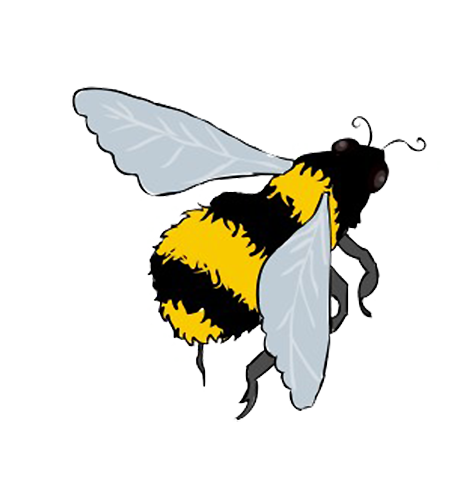 Flying bee drawing