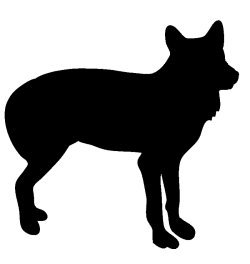 Black silhouette of wolf