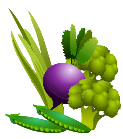 vegetables clipart