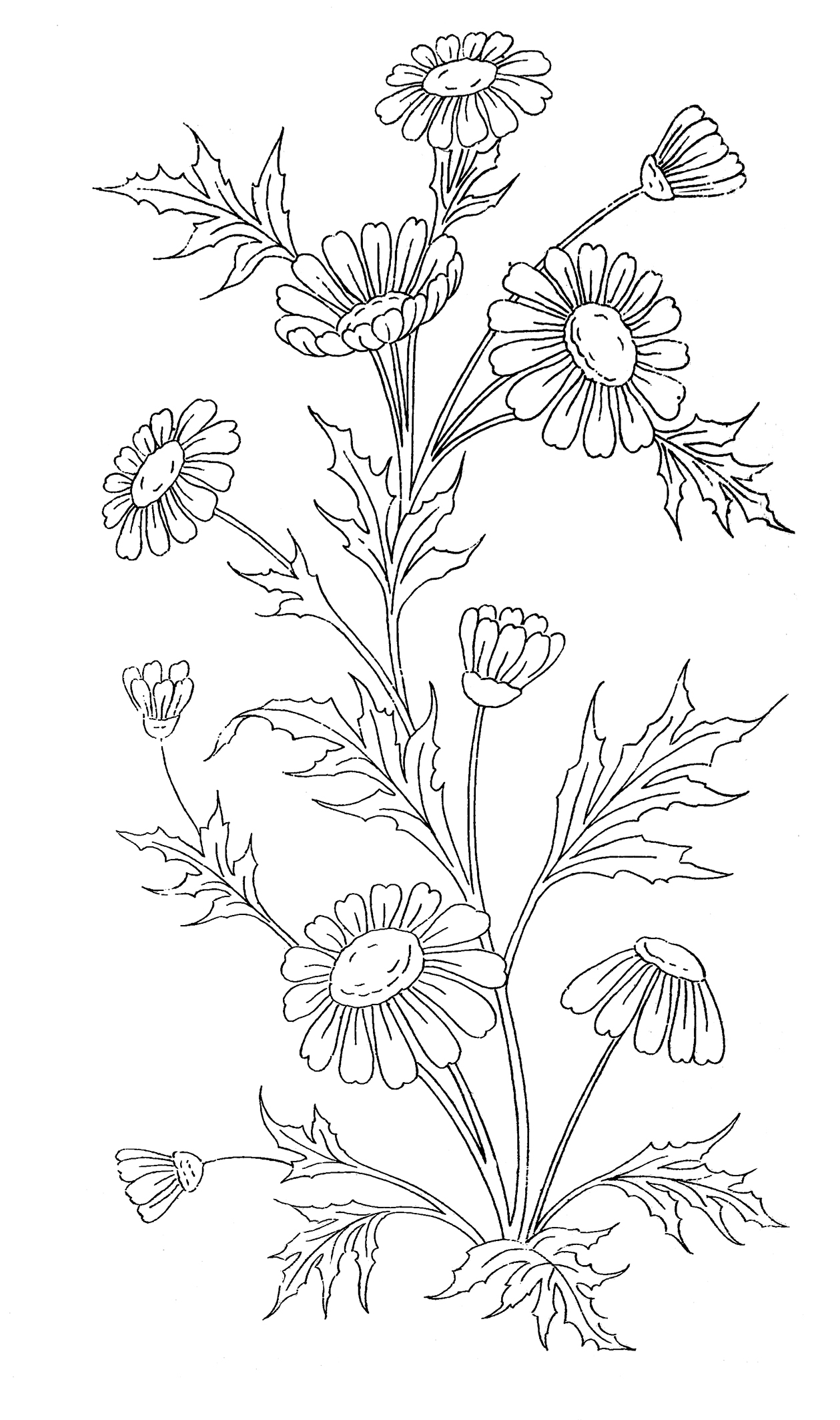 coloring sheet with flowers