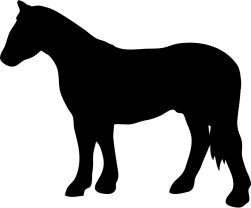 black silhouette of standing horse