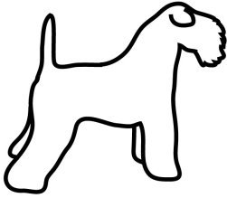 Kerry blue Terrier drawing