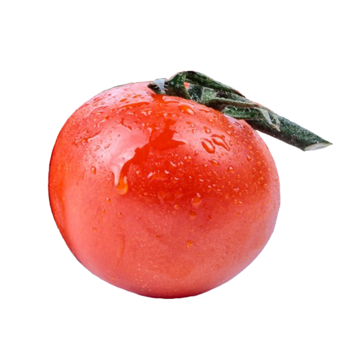 Single tomato clipart