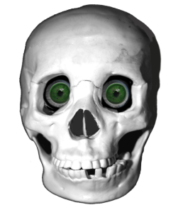 cool skull with green eyes