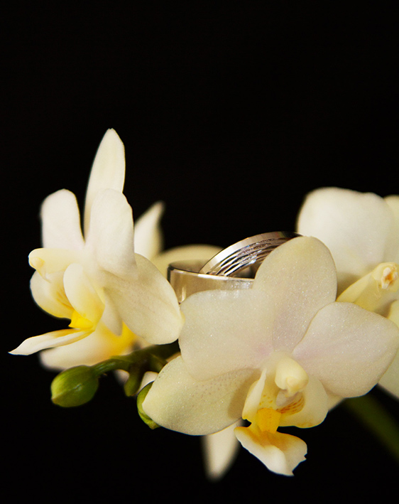 wedding rings and white orchids