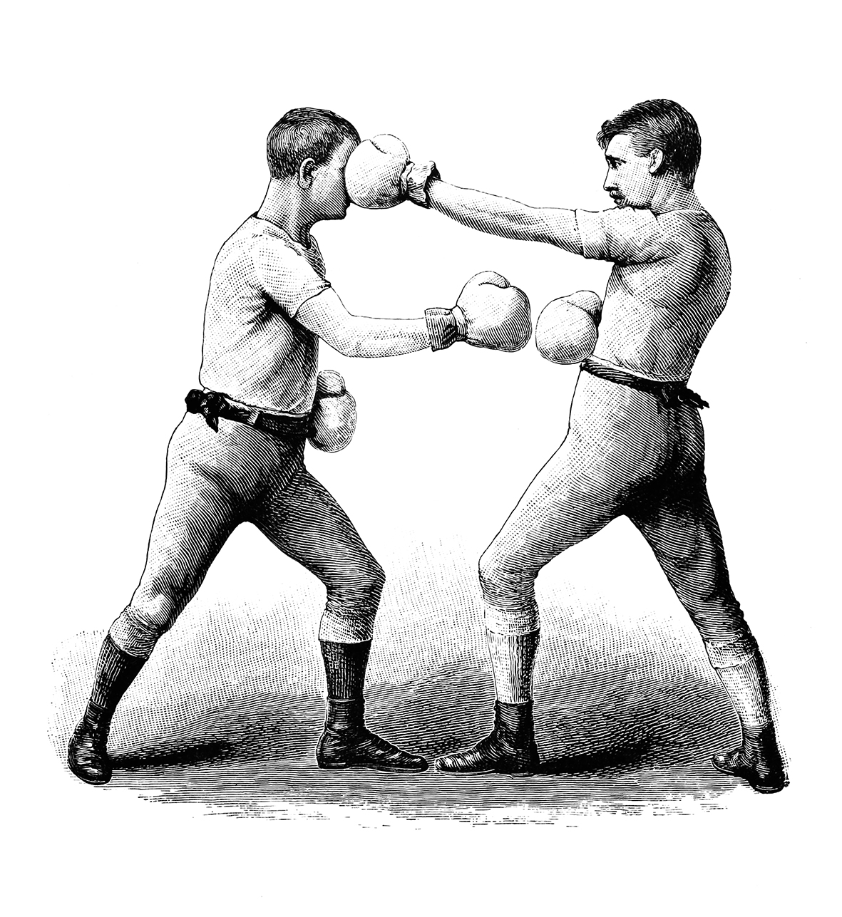 vintage boxing motive